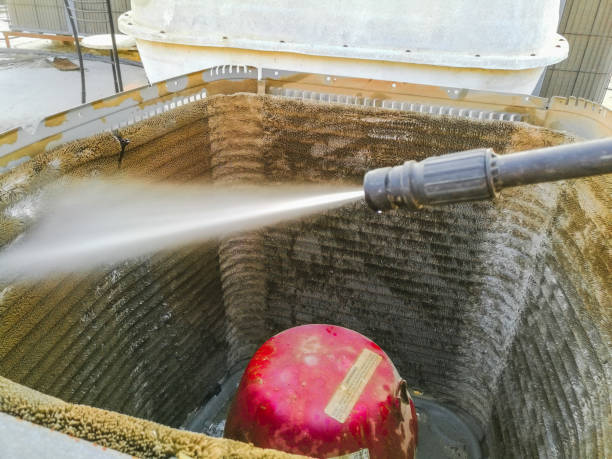 Best Air Duct Mold Removal  in Quitman, TX