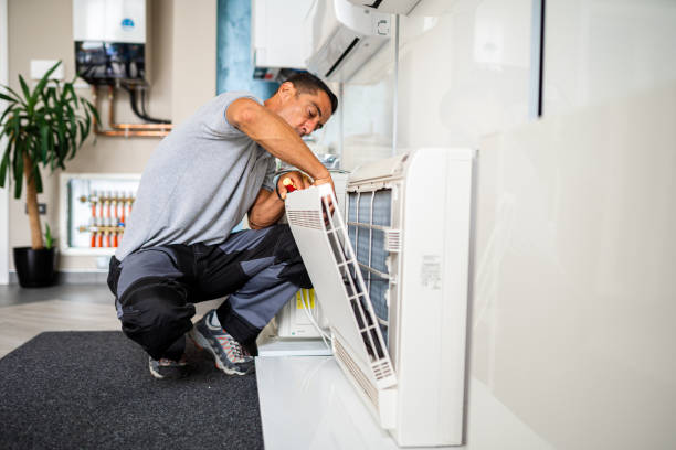 Air Duct Mold Removal in Quitman, TX