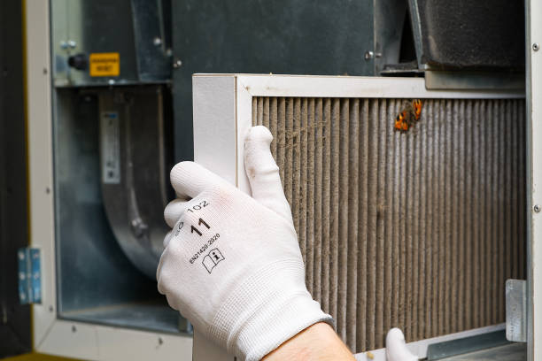 Best Air Duct Cleaning Near Me  in Quitman, TX