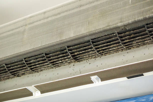 Best Best Air Duct Cleaning Company  in Quitman, TX
