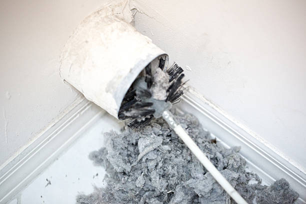 Best Air Duct Cleaning Near Me  in Quitman, TX